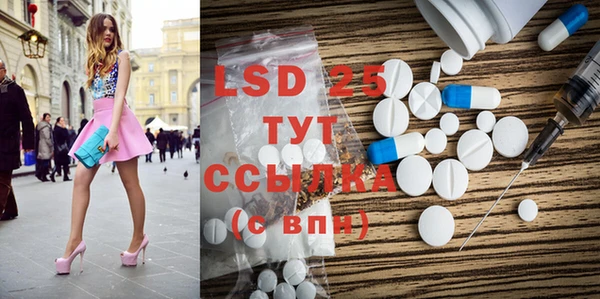 PSILOCYBIN Алзамай