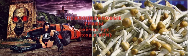 мяу мяу кристалл Алексеевка