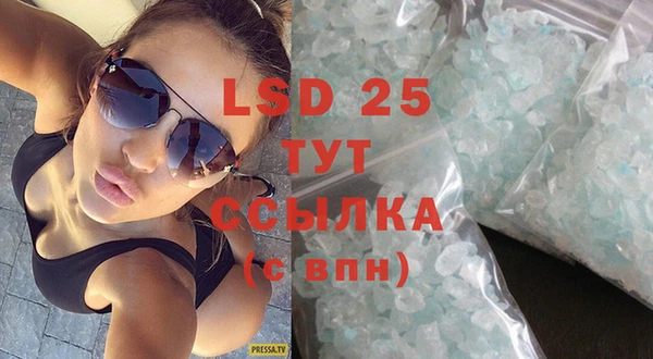 PSILOCYBIN Алзамай