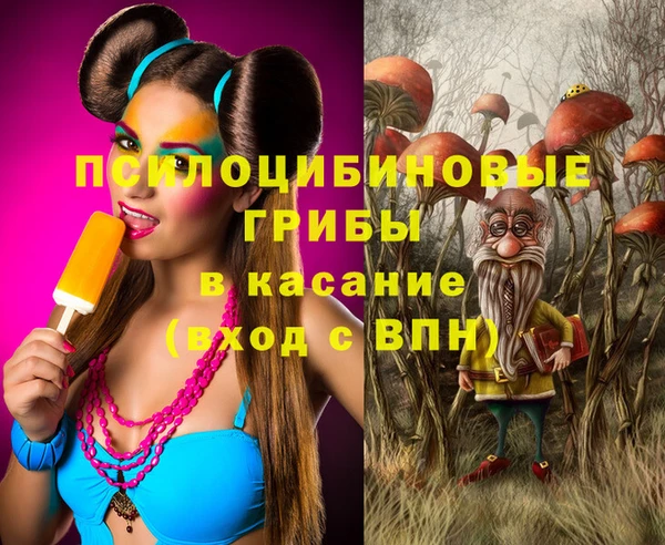 PSILOCYBIN Алзамай