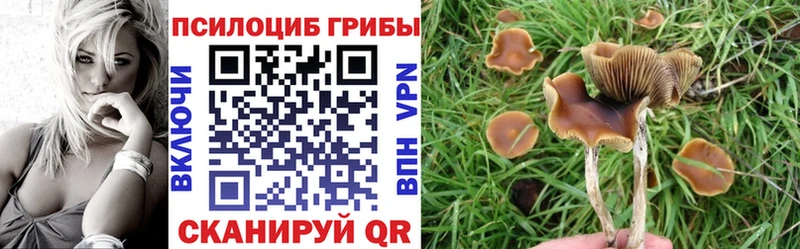 Псилоцибиновые грибы GOLDEN TEACHER Нововоронеж